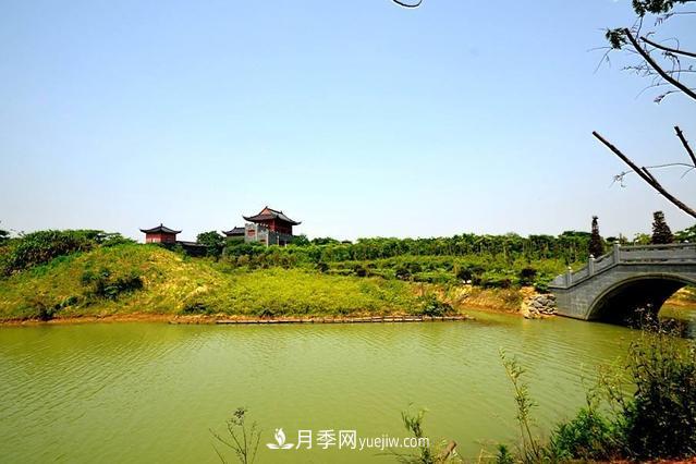 江西南昌天香园走红，有3万余的盆景，是南昌的“花卉之源”(图2)