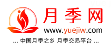 中国上海龙凤419，月季品种介绍和养护知识分享专业网站(图1)