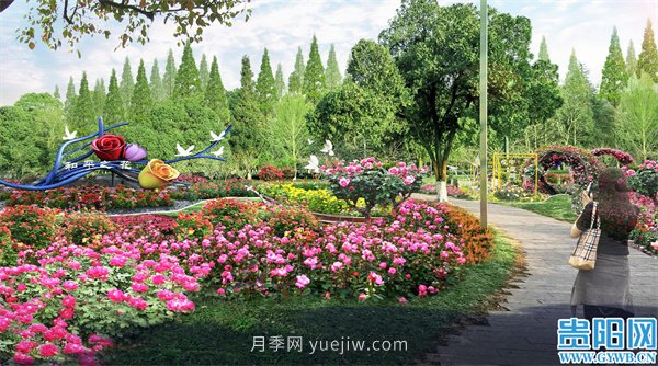 2021年贵阳花溪公园精品月季花卉展即将对外开放(图1)