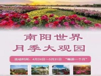 第十二届南阳月季花会4月29日开幕，活动丰富多彩