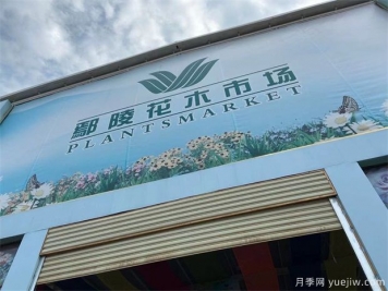 鄢陵县花木产业未必能想到的那些问题