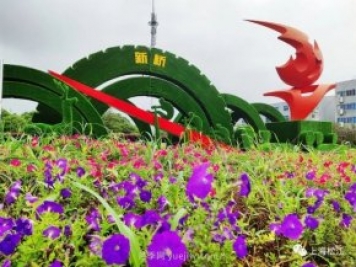 上海松江这里的花坛、花境“上新”啦!特色景观升级!
