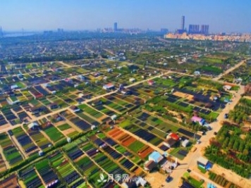 广东省中山市横栏镇，这个3万亩的花木之乡，亩均年产值竟达10万元